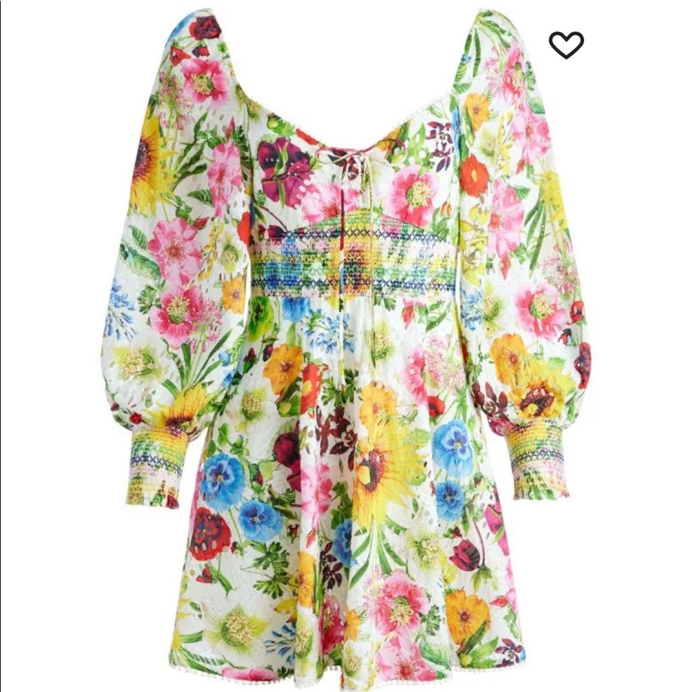 Alice and Olivia dress